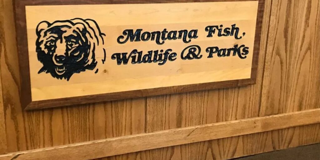 Montana Hunting License What You Need to Know Before You Hunt