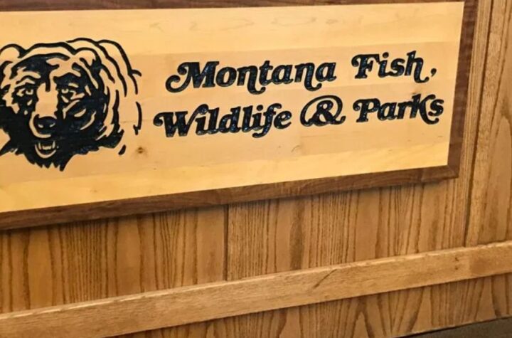 Montana Hunting License What You Need to Know Before You Hunt