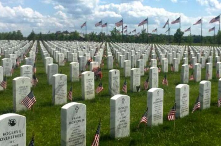 Veterans Remembered The Legacy of Great Lakes National Cemetery in Michigan