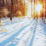 Farmers Almanac Predicts Cool and Dry Fall Weather for Texas and New Mexico