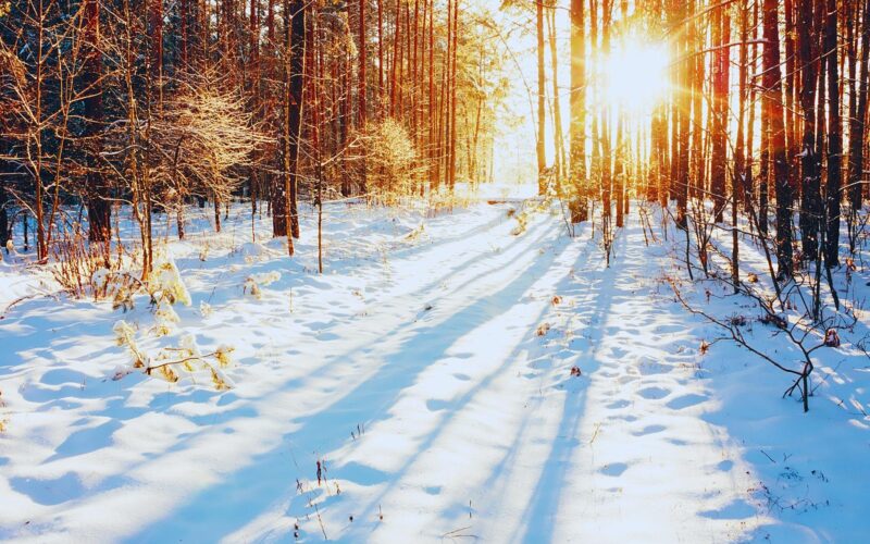 Farmers Almanac Predicts Cool and Dry Fall Weather for Texas and New Mexico