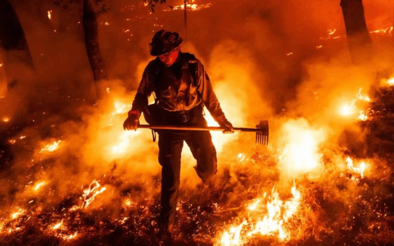 Oregon Blaze Destroys Bird Sanctuary as Forecasters Warn of New Lightning-Caused Wildfires