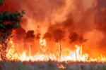 Warm, Dry Weather Triggers Higher Fire Risks in the Pacific Northwest