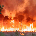 Warm, Dry Weather Triggers Higher Fire Risks in the Pacific Northwest