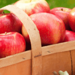 Things to Know About Honeycrisp Apples Before You Put Them in Your Cart This Fall