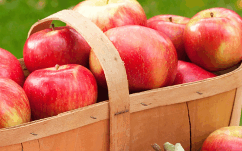 Things to Know About Honeycrisp Apples Before You Put Them in Your Cart This Fall