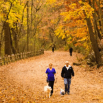 An Autumn Chill Settles Over New York State with Mostly Dry Weather Forecast Through Labor Day