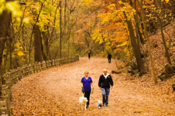 An Autumn Chill Settles Over New York State with Mostly Dry Weather Forecast Through Labor Day