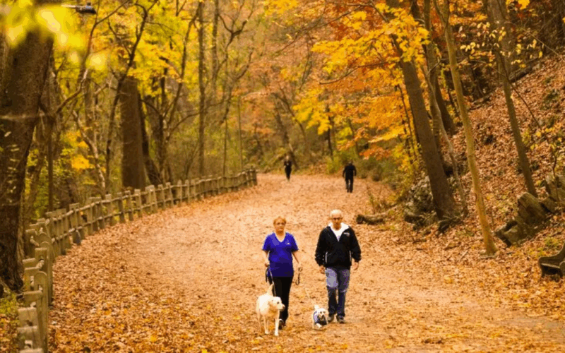 An Autumn Chill Settles Over New York State with Mostly Dry Weather Forecast Through Labor Day