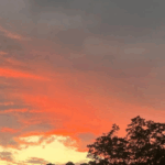 Alabama Experiences a ‘False Fall’: What This Weather Shift Means for You