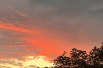 Alabama Experiences a ‘False Fall’: What This Weather Shift Means for You