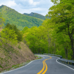 Virginia Welcomes a Stunning Week of Perfect Weather: Here’s What to Expect
