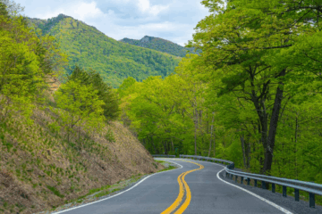 Virginia Welcomes a Stunning Week of Perfect Weather: Here’s What to Expect