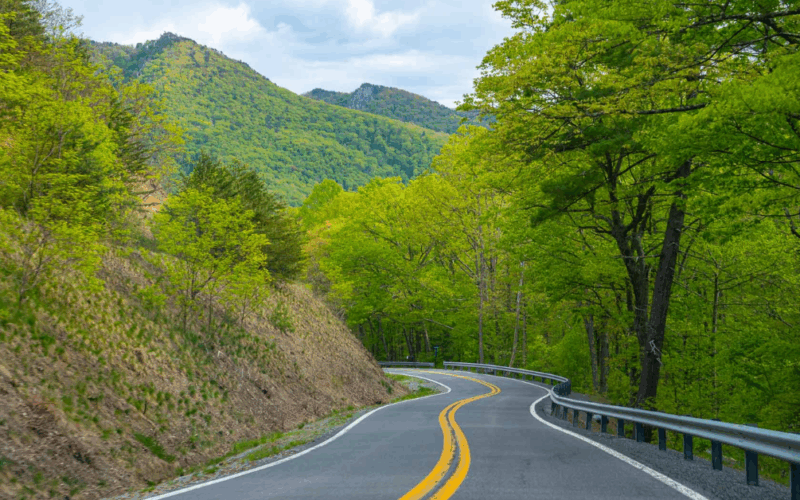 Virginia Welcomes a Stunning Week of Perfect Weather: Here’s What to Expect