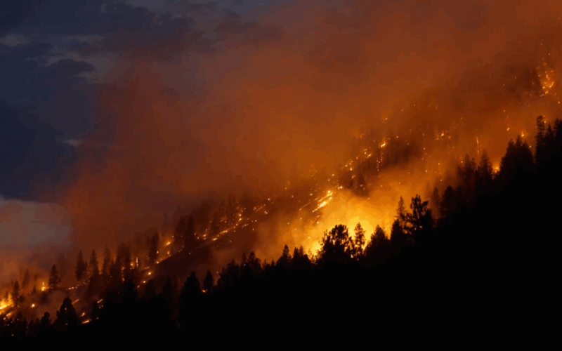 Heat and Lightning Could Spark New Wildfires Across B.C. This Week