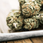 Cannabis Could Become Illegal Again in Massachusetts by 2026: What You Need to Know