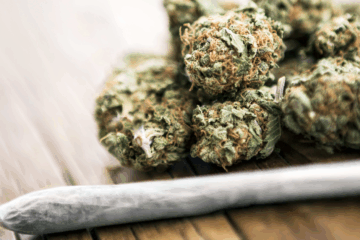 Cannabis Could Become Illegal Again in Massachusetts by 2026: What You Need to Know