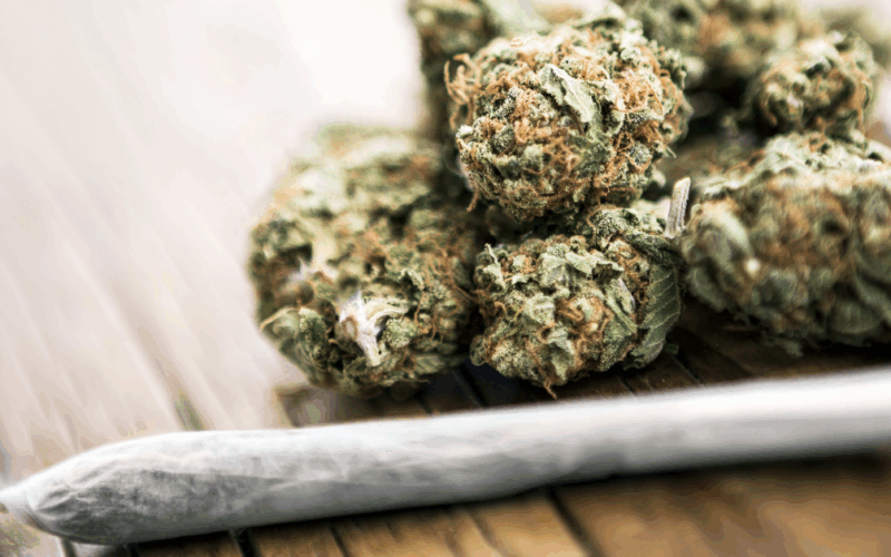 Cannabis Could Become Illegal Again in Massachusetts by 2026: What You Need to Know