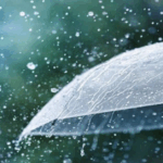 Nice Weather to Continue Through Midweek with Rain Chances Towards Weekend