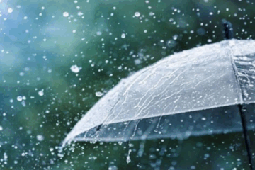 Nice Weather to Continue Through Midweek with Rain Chances Towards Weekend