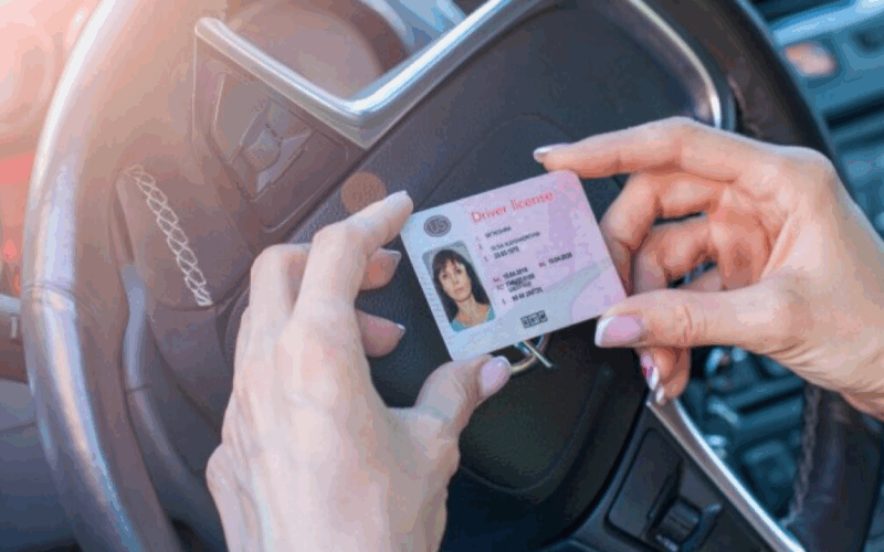 How 19 US States Are Making Life Easier by Allowing Immigrants to Drive Legally