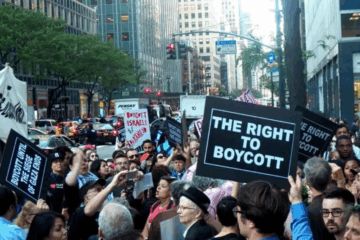 It Is Illegal To Disturb These In New York State: What You Must Know